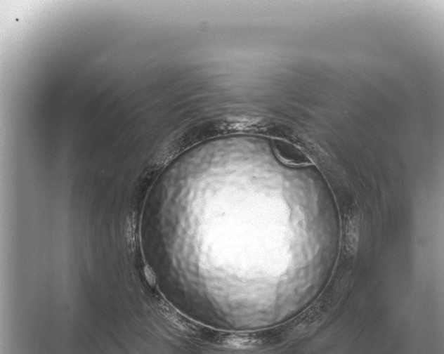 X0000068270657200605051816