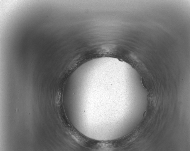 X0000068270660200605051816