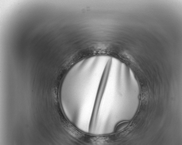 X0000068270661200605051816