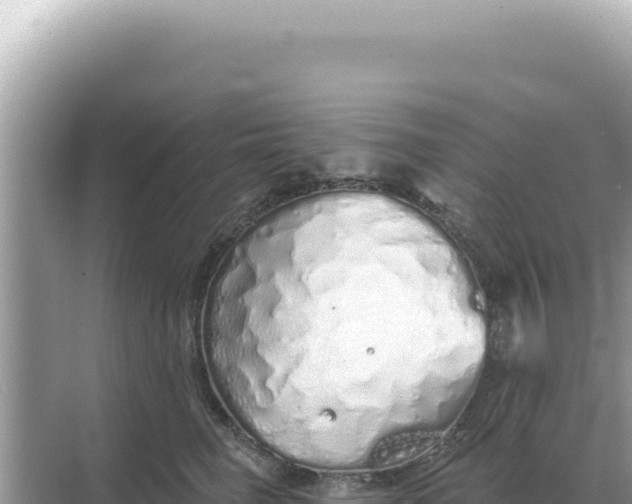 X0000068270662200605051816