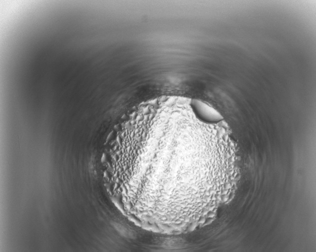 X0000068270663200605051816