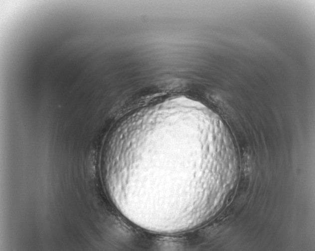 X0000068270664200605051816