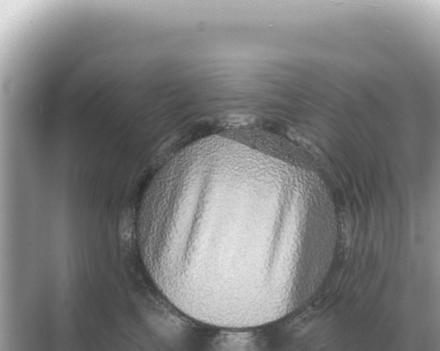 X0000068270665200605051816