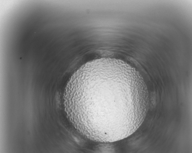 X0000068270667200605051816