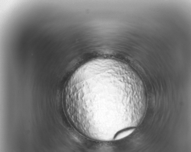 X0000068270668200605051816