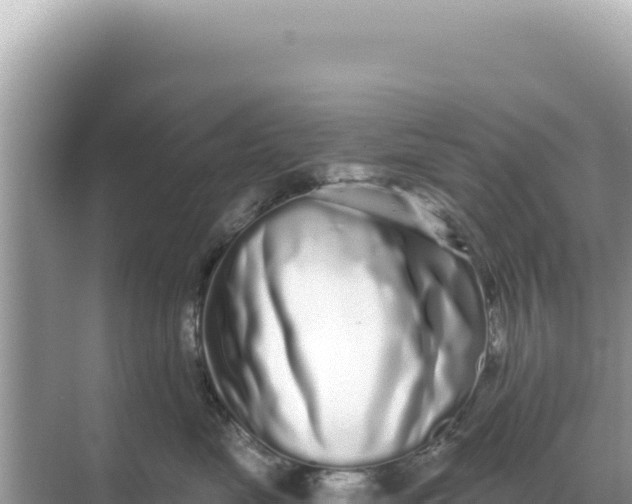 X0000068270669200605051816