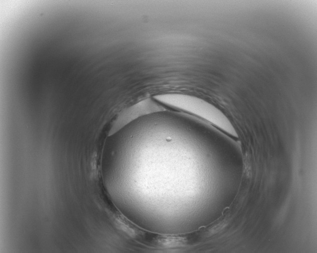 X0000068270670200605051816