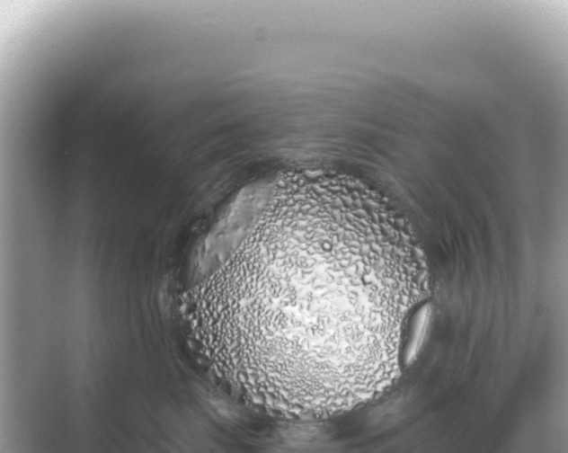 X0000068270671200605051816