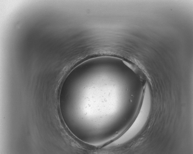 X0000068270673200605051816