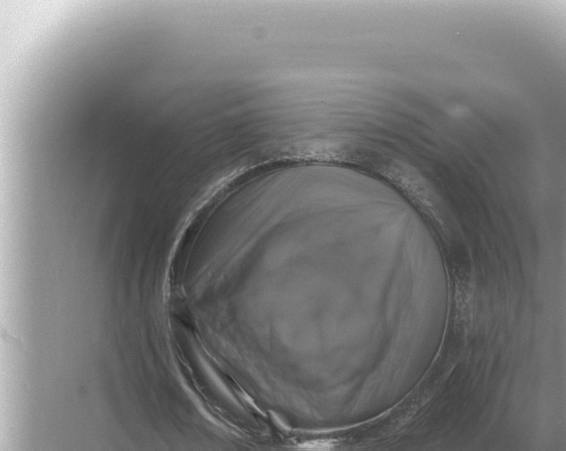 X0000068270674200605051816