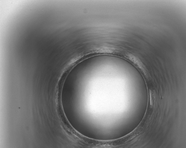 X0000068270675200605051816