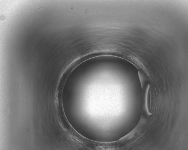 X0000068270676200605051816