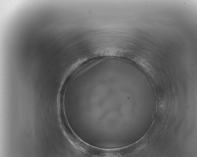 X0000068270678200605051815