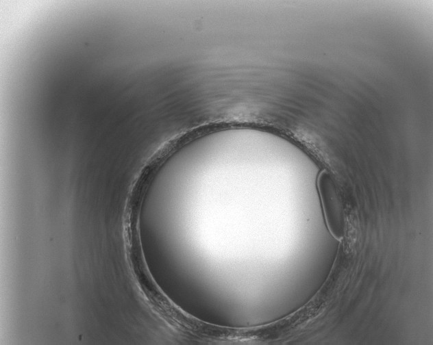 X0000068270680200605051815