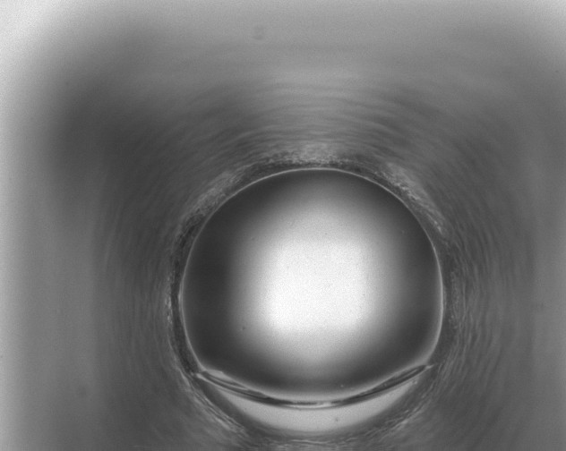 X0000068270681200605051815