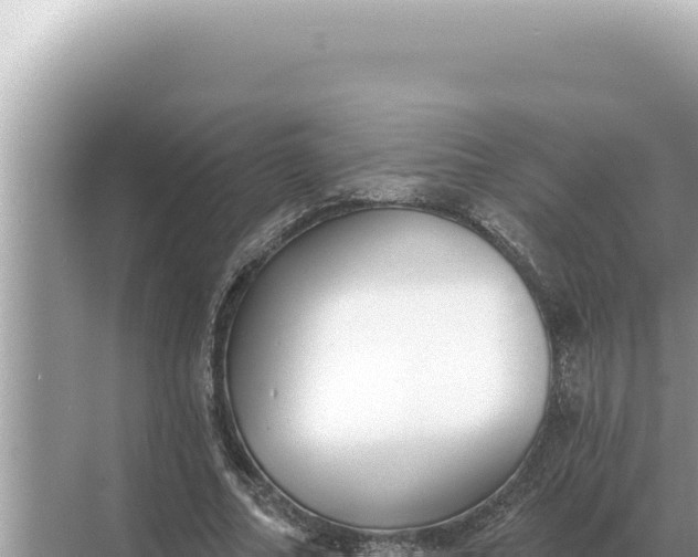 X0000068270682200605051815