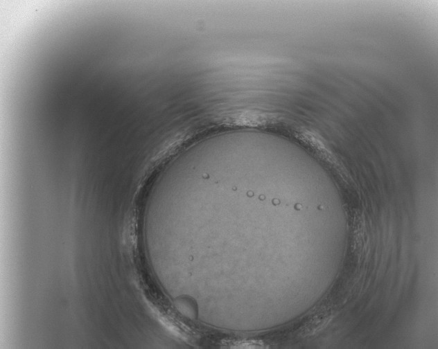 X0000068270683200605051815