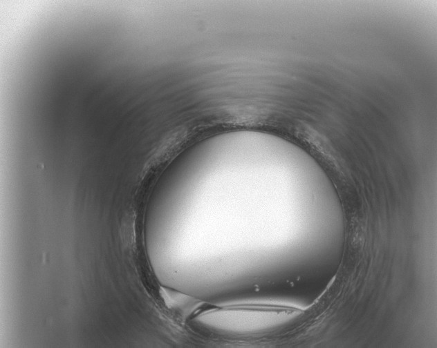 X0000068270685200605051815