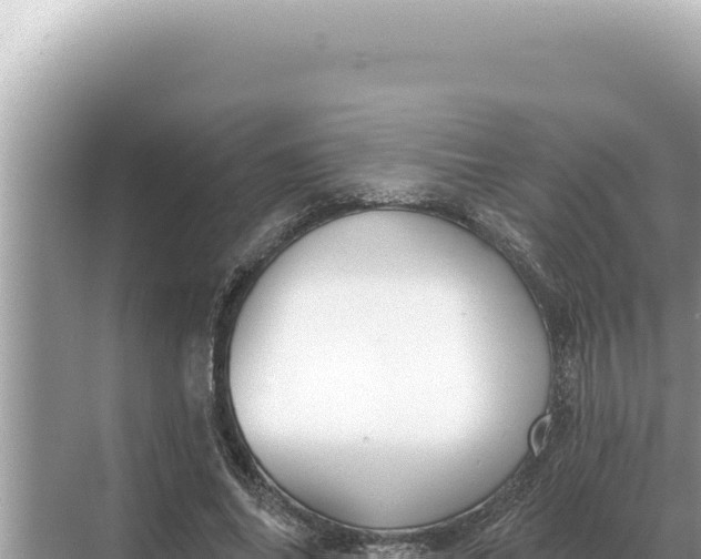 X0000068270686200605051815