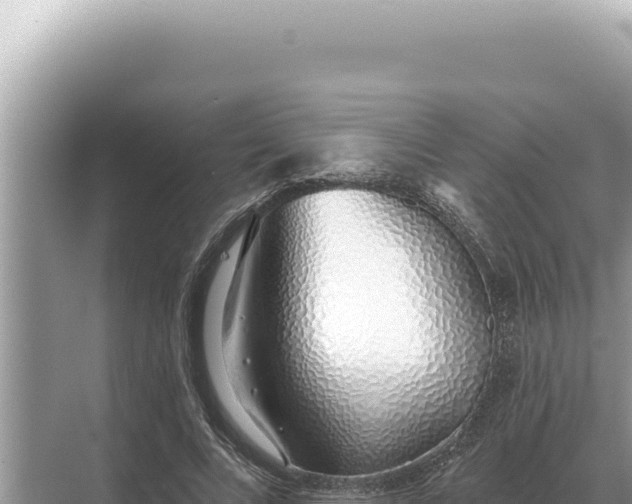 X0000068270688200605051815