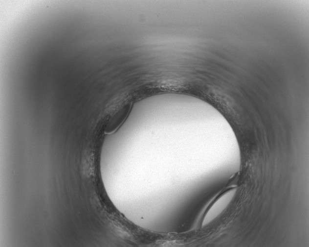 X0000068270689200605051815