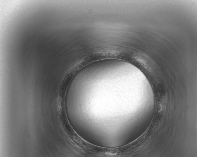 X0000068270692200605051815