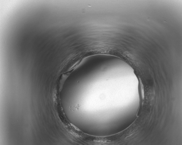 X0000068270693200605051815