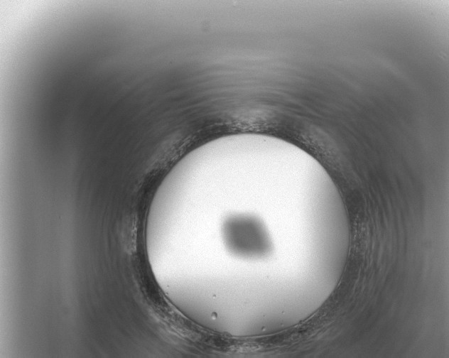 X0000068270694200605051815