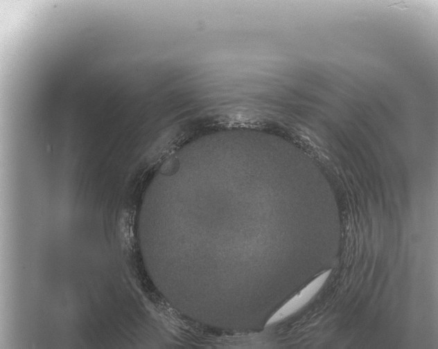 X0000068270695200605051815