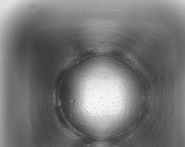 X0000068270696200605051815