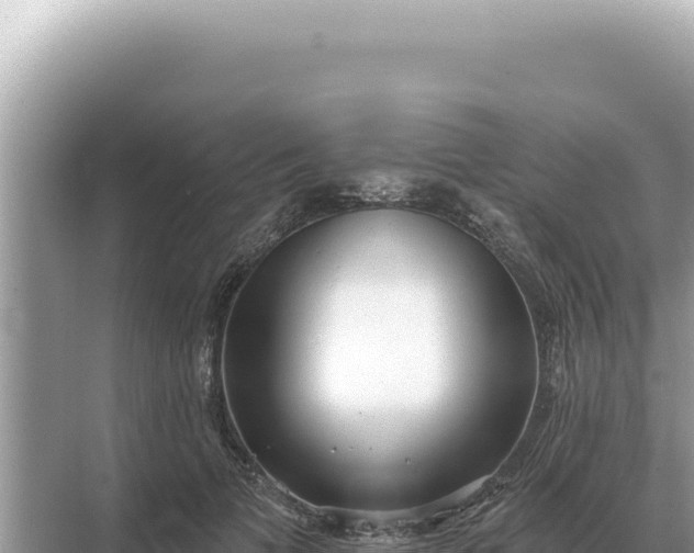 X0000068270697200605051815