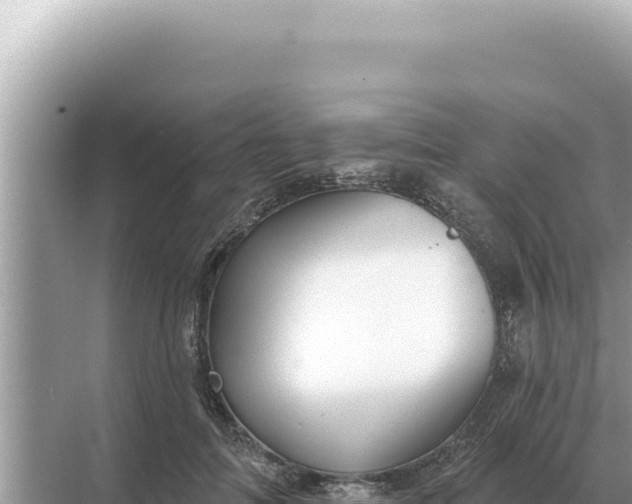 X0000068270698200605051815