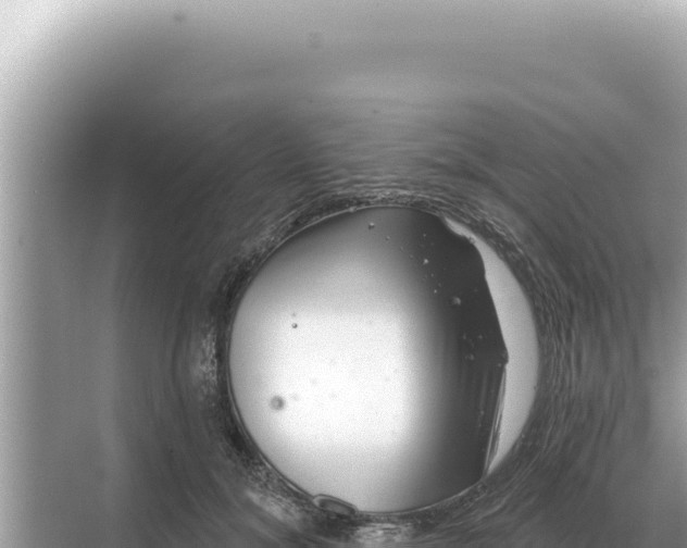 X0000068270700200605051815