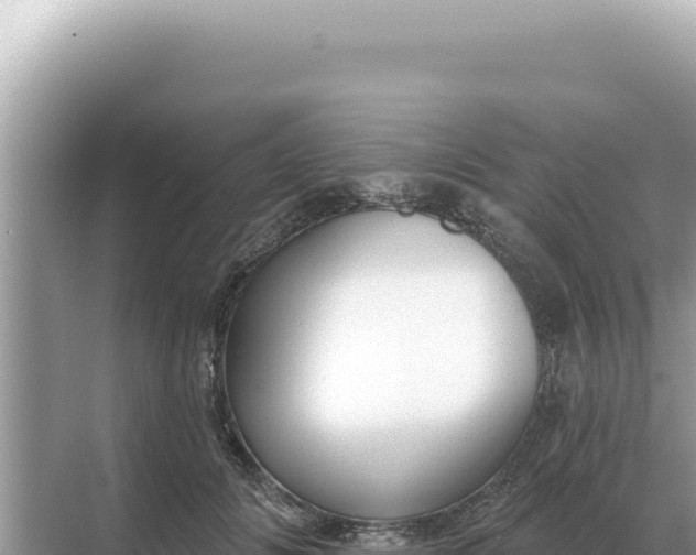 X0000068270702200605051815