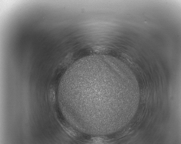 X0000068270703200605051815