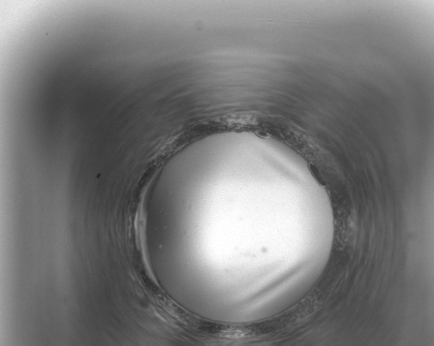 X0000068270704200605051815