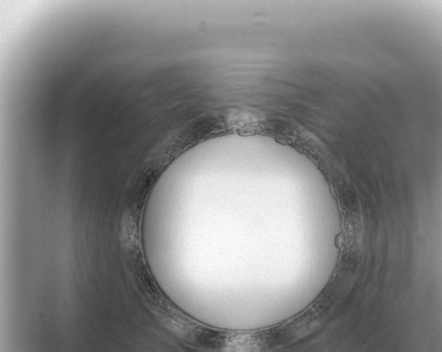 X0000068270705200605051815