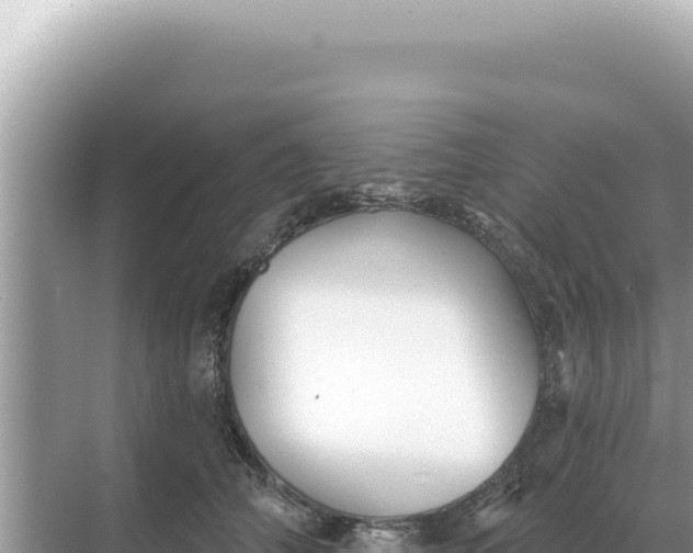 X0000068270706200605051815