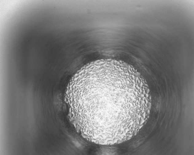 X0000068270707200605051815