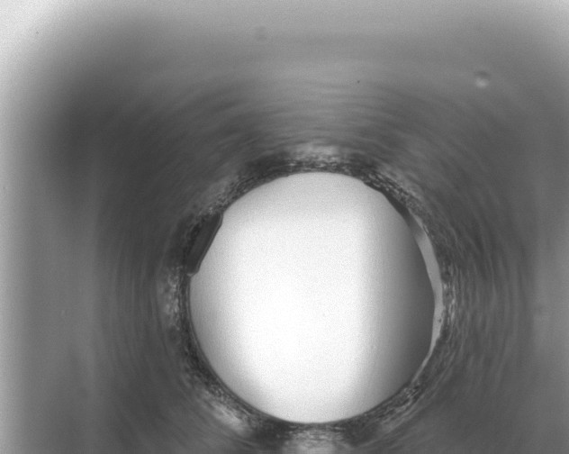 X0000068270708200605051815