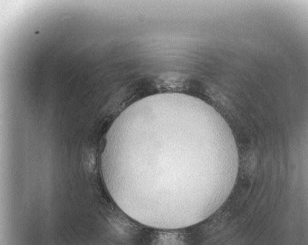 X0000068270709200605051815