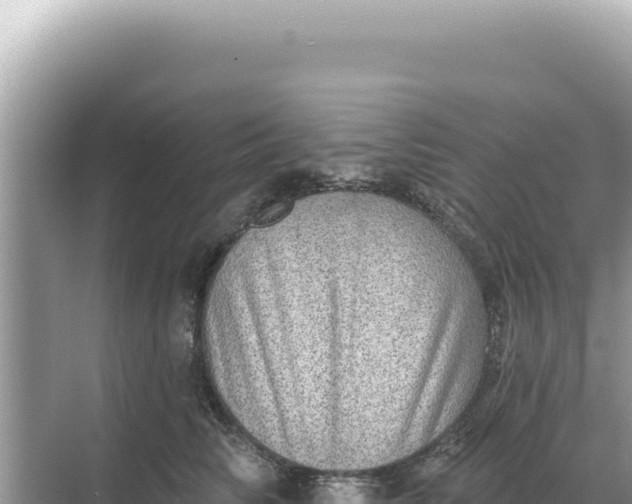 X0000068270710200605051815