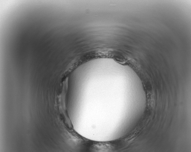 X0000068270712200605051815