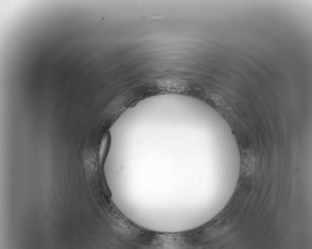 X0000068270713200605051815