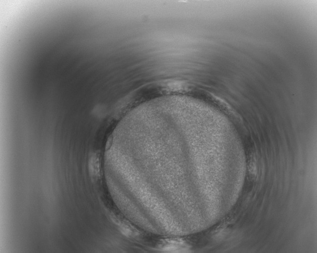 X0000068270715200605051815