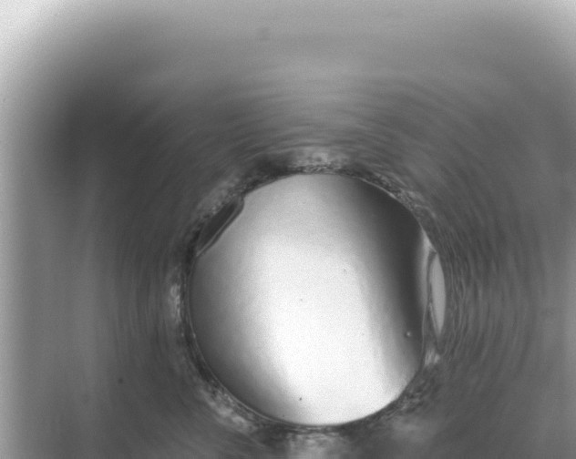 X0000068270716200605051815