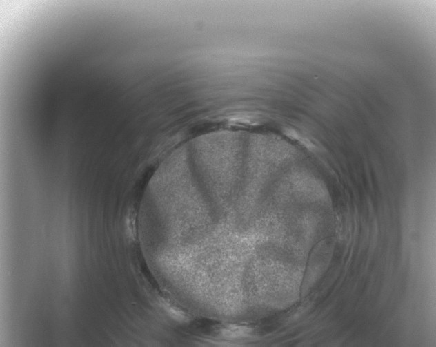 X0000068270718200605051815