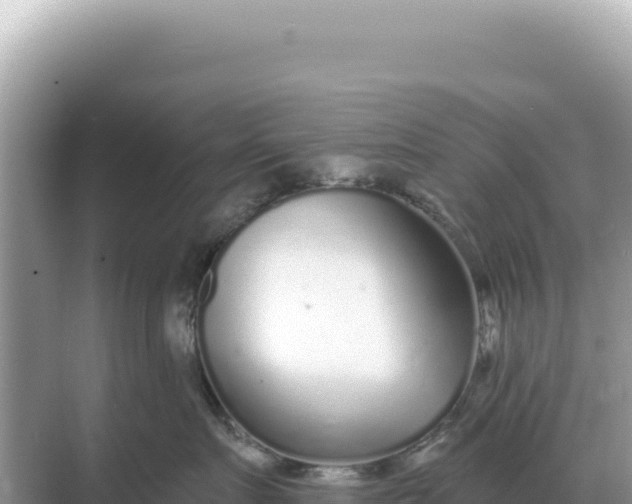 X0000068270719200605051815