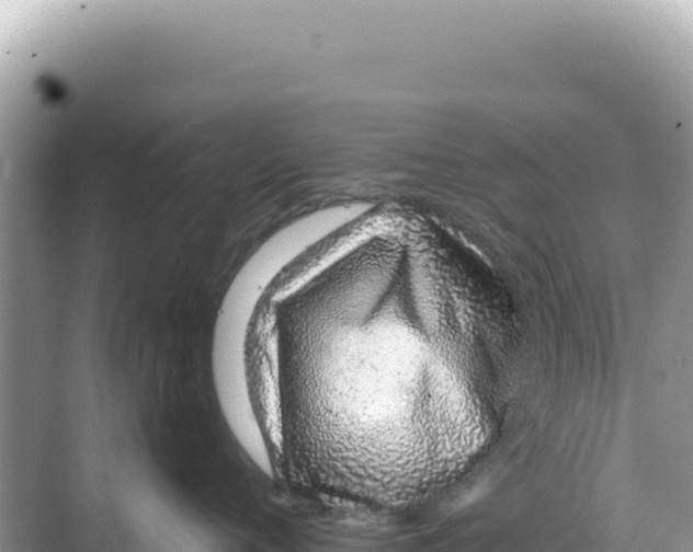 X0000068270720200605051815