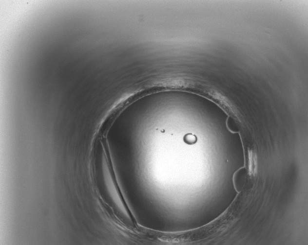 X0000068270723200605051814